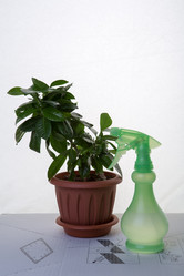 Similar image 21947814