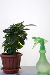 Similar image 21947815