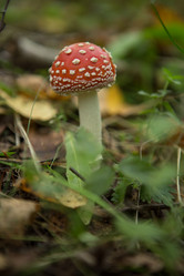 Similar image 21947819