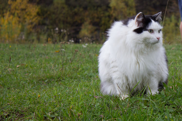 Similar image 21948148