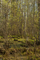 Similar image 21948154