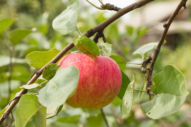 Similar image 21948159