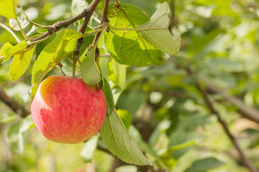 Similar image 21948168