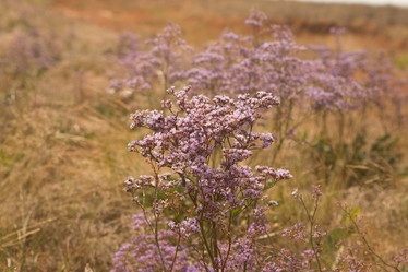 Similar image 21948170