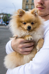 Similar image 21948171