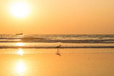 Similar image 21949872