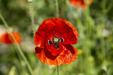 Similar image 21913461