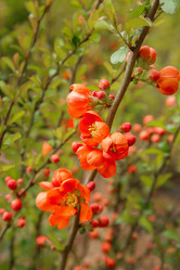 Similar image 21913462