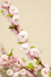 Similar image 21913463