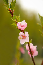 Similar image 21913465