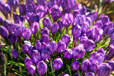 Similar image 21913710