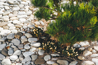 Similar image 21913716