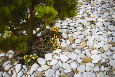 Similar image 21913717