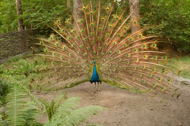 Similar image 21947386