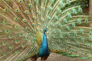 Similar image 21947387