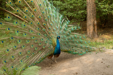 Similar image 21947390