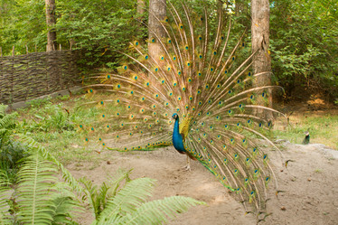 Similar image 21947393