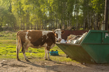 Similar image 21947822