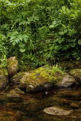 Similar image 21947825