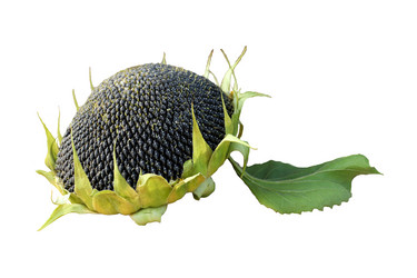 Similar image 21917045