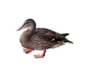 Similar image 21933688