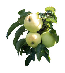 Similar image 21933692