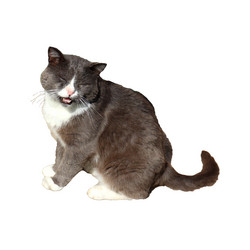 Similar image 21917050