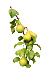 Similar image 21917052