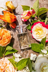 Similar image 21916982