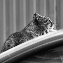 Similar image 21936606