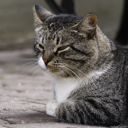 Similar image 21911910