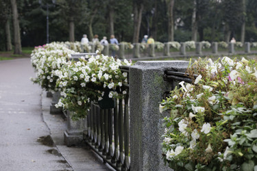 Similar image 21911917