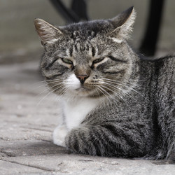 Similar image 21911918