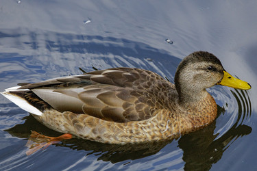 Similar image 21911921