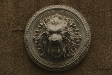 Similar image 21947829