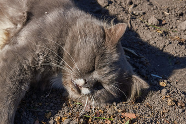 Similar image 21911749