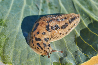 Similar image 21911588