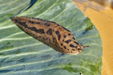 Similar image 21911750