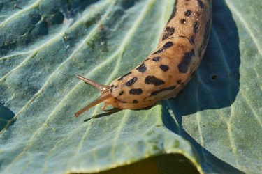 Similar image 21911751