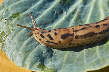 Similar image 21915832