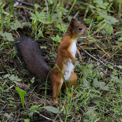 Similar image 21936609