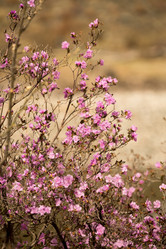 Similar image 21948195