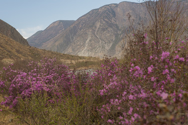 Similar image 21948199