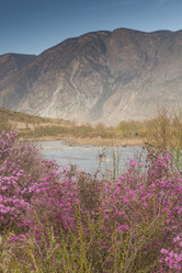 Similar image 21948201