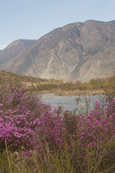 Similar image 21948203