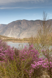 Similar image 21948205