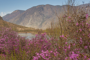 Similar image 21948207