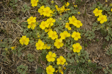 Similar image 21948209