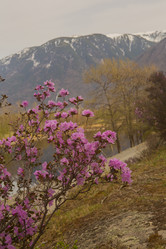 Similar image 21949895