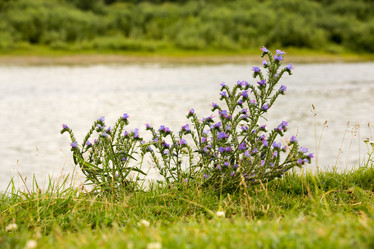 Similar image 21947158